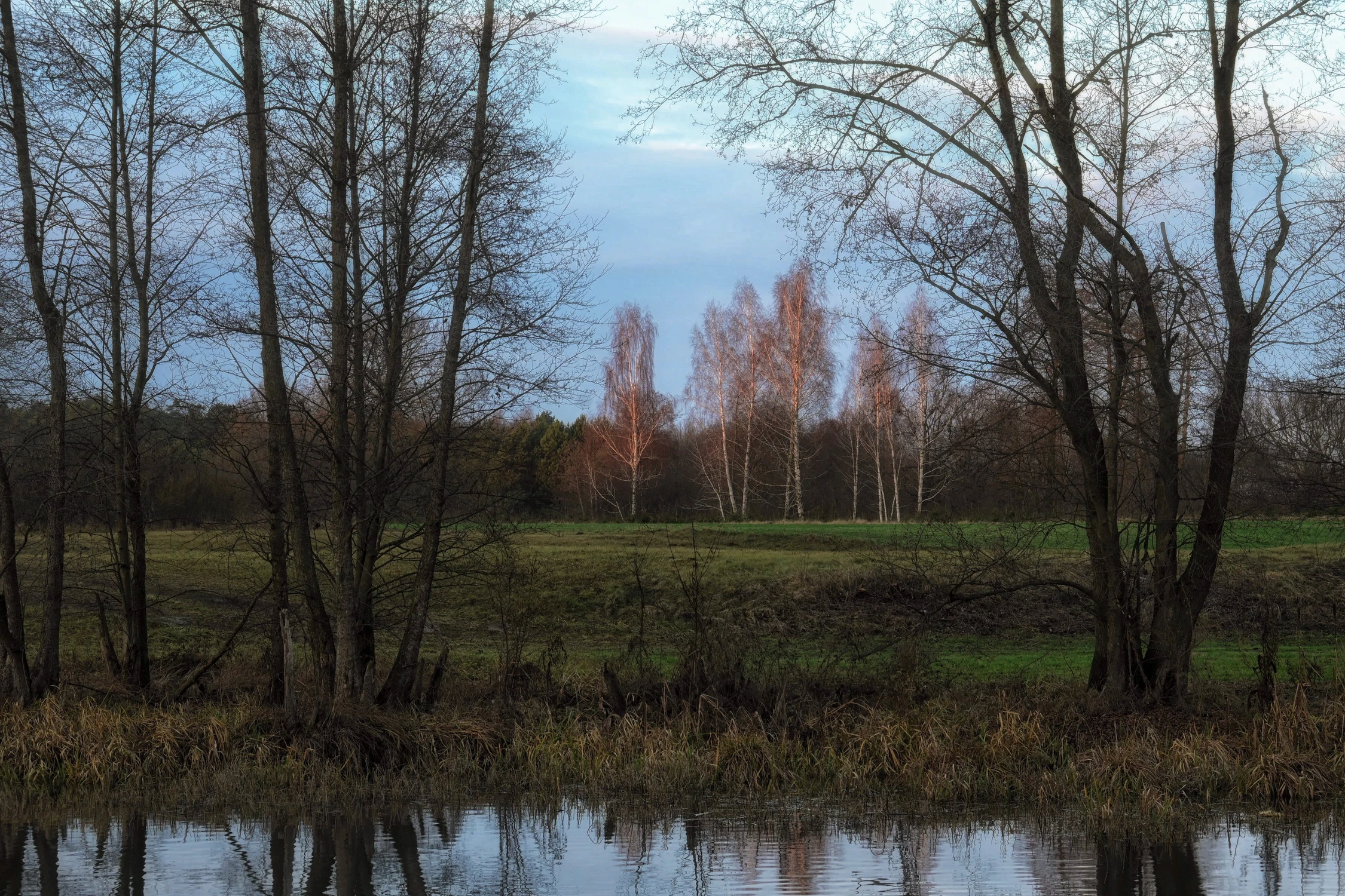 Grudniowe popołudnie