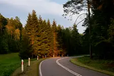 Zakręt