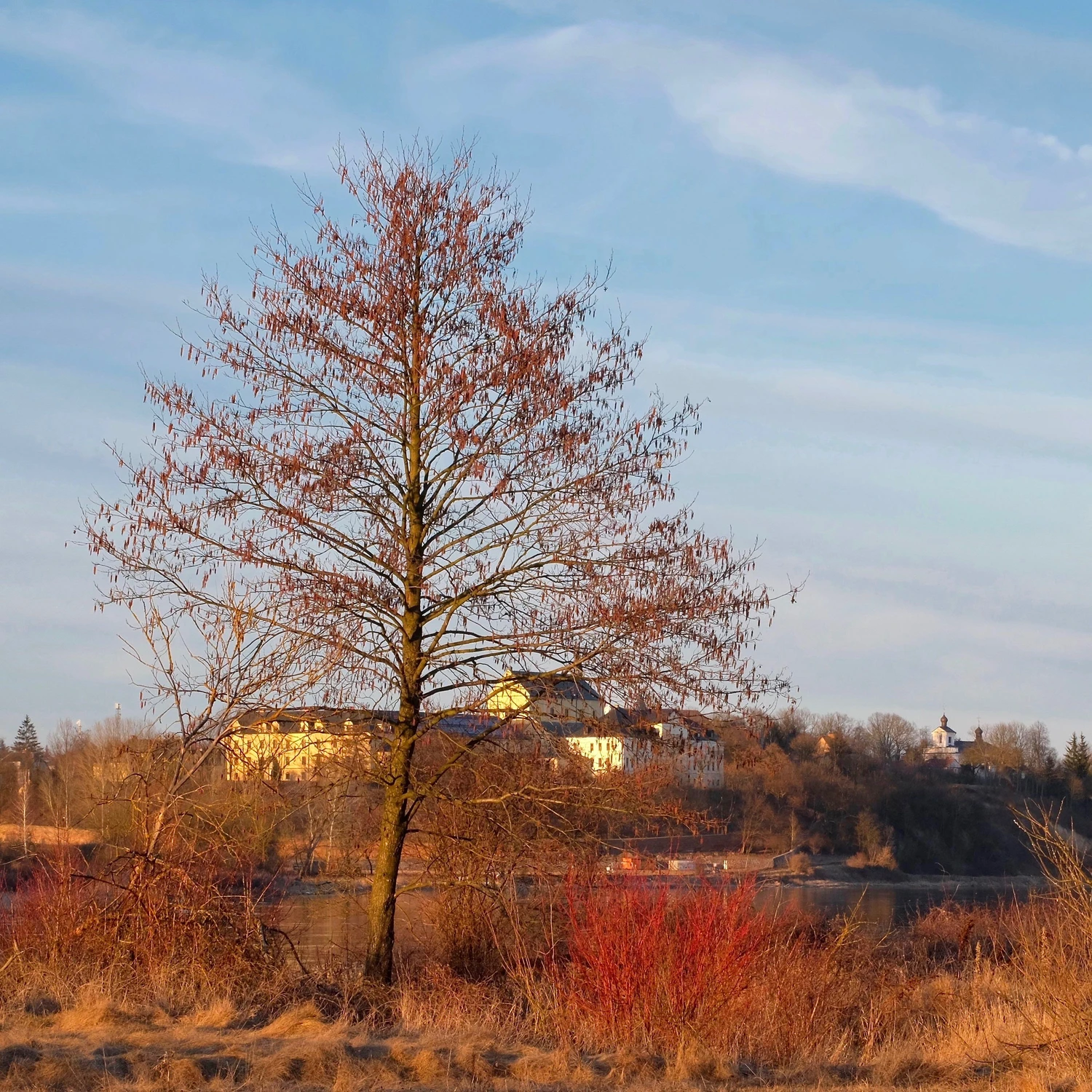 Marcowy widok na Drohiczyn