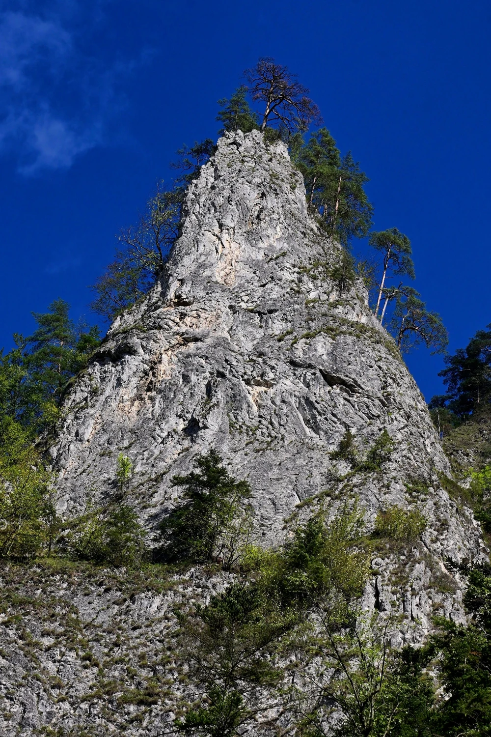 Śpiąca skała.