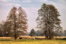 Jesienny pejzaż
