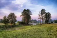 Mokradła