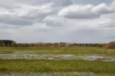 Kaczeńce i Drohiczyn