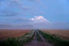 Polna droga