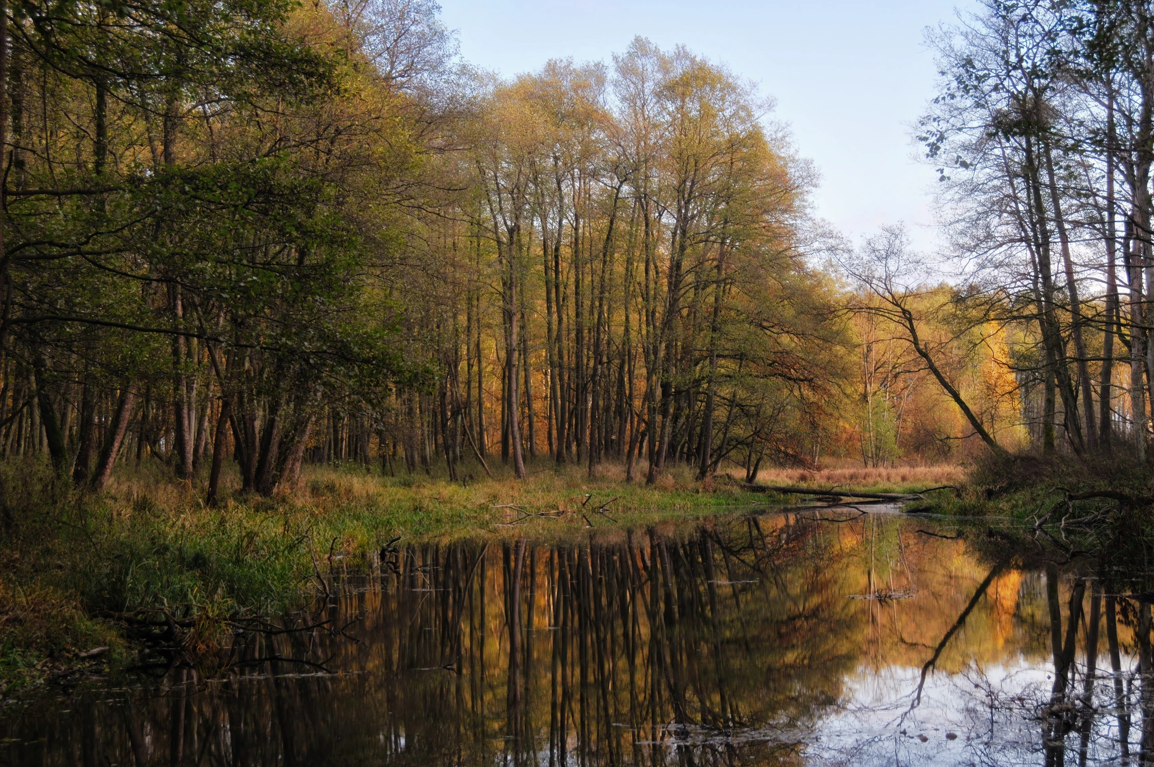 Jesień nad bużyskiem