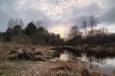 Stara Baśń...