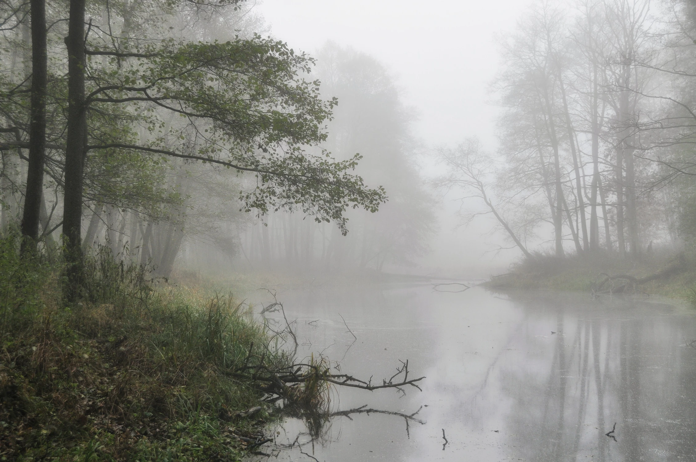 Poranek nad bużyskiem