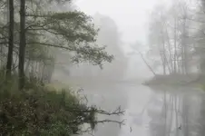 Poranek nad bużyskiem