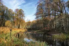 Jesienny krajobraz fotograficzny