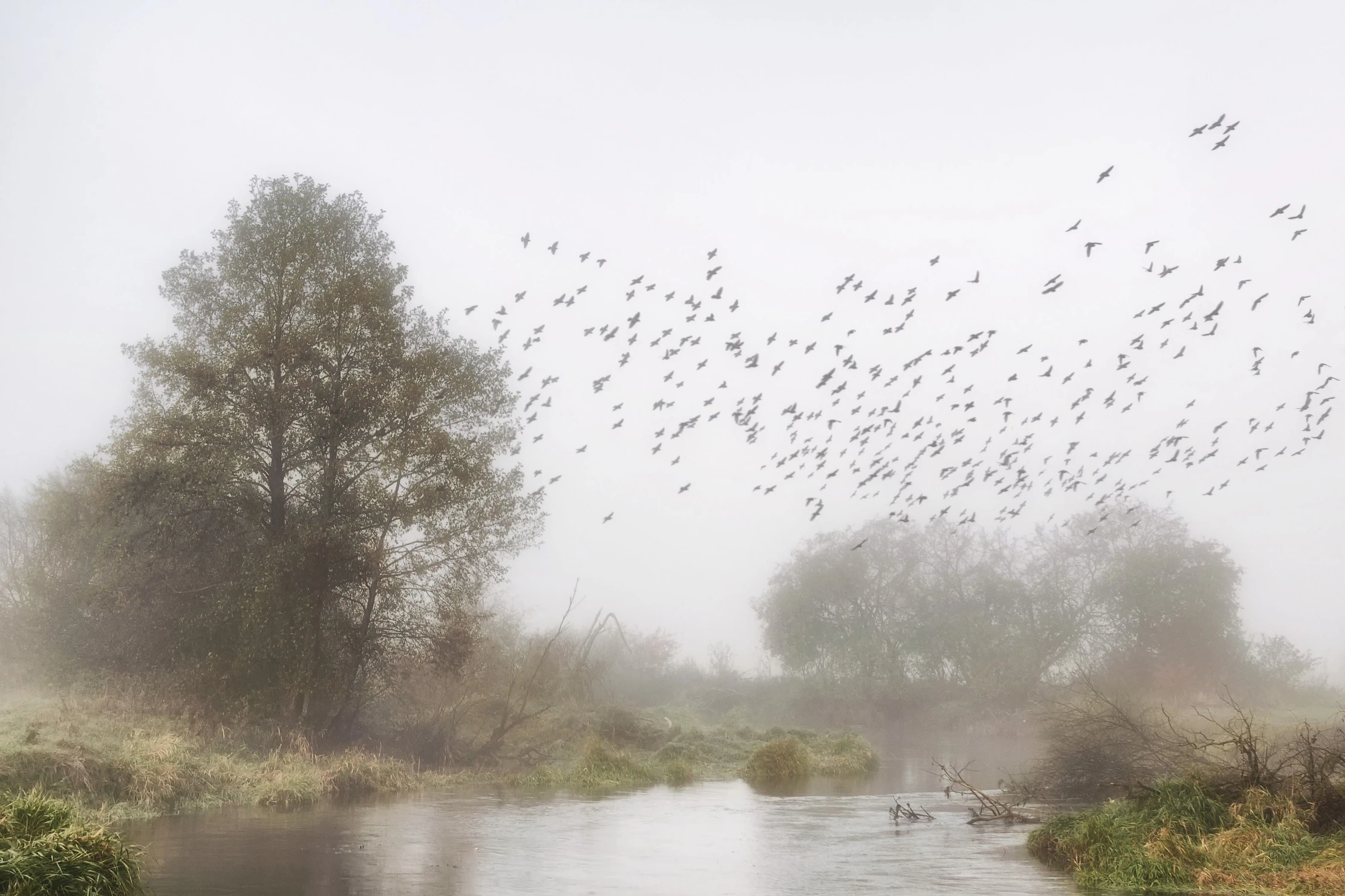 Poranek nad rzeczką