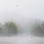 Poranek
