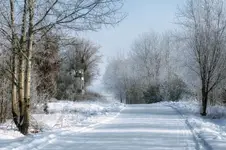 Droga obok kapliczki