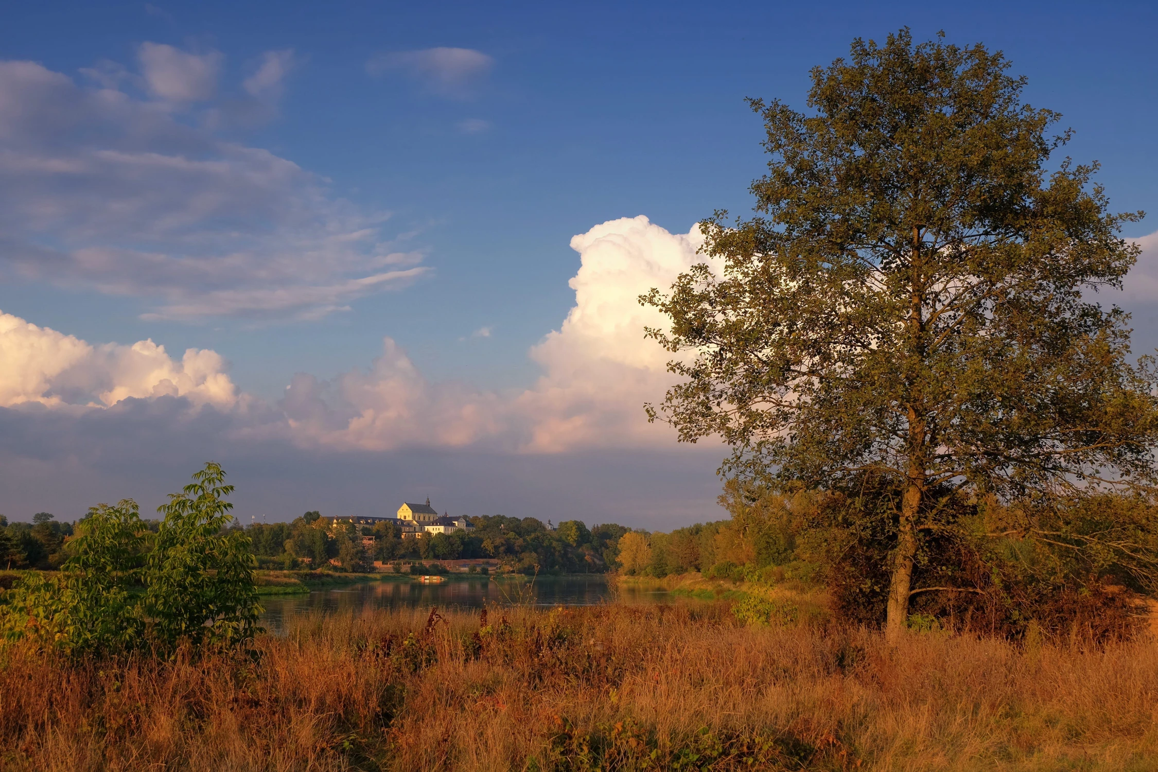 Widok na Drohiczyn