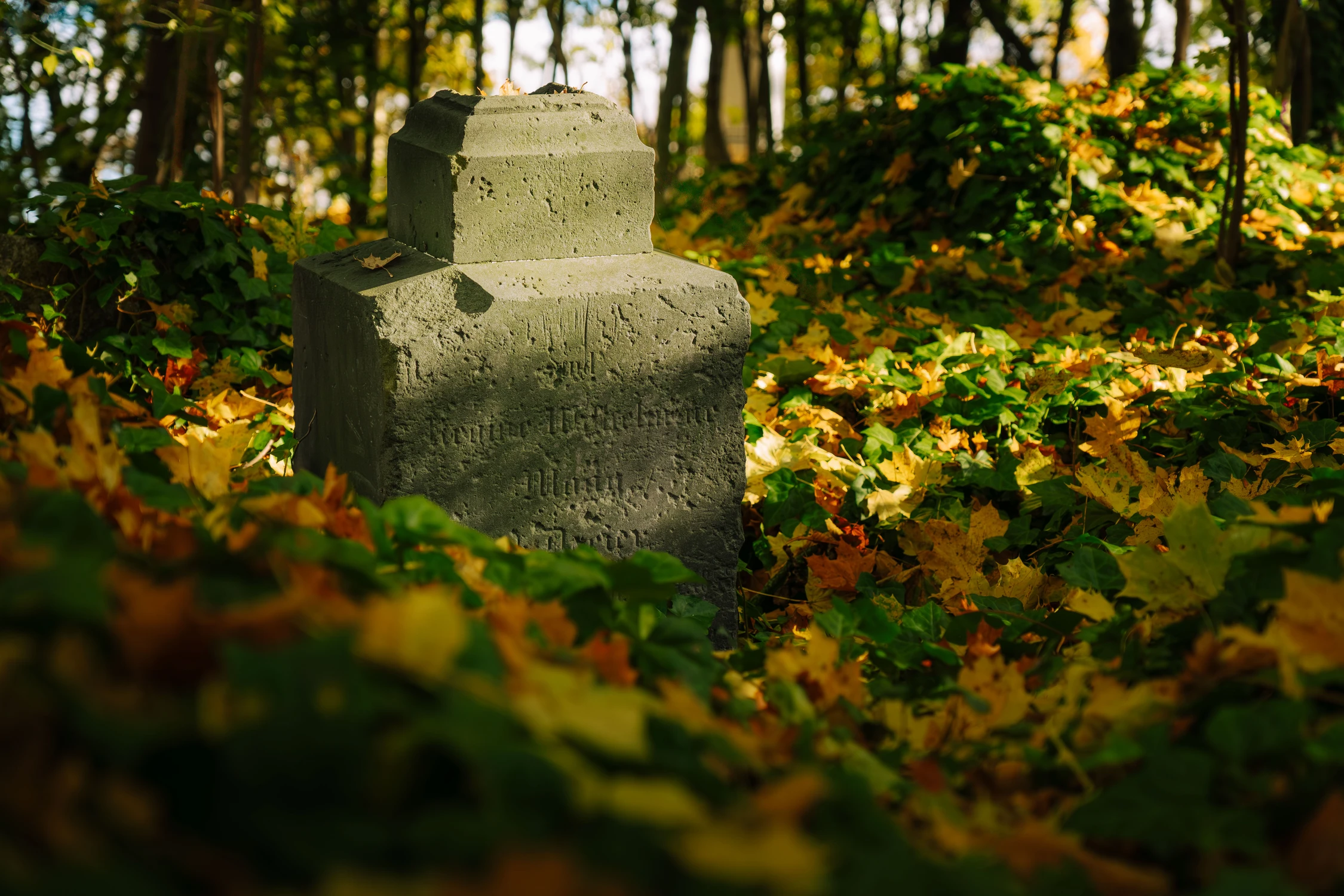 graveyard