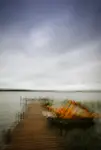 Jesień rozproszona 