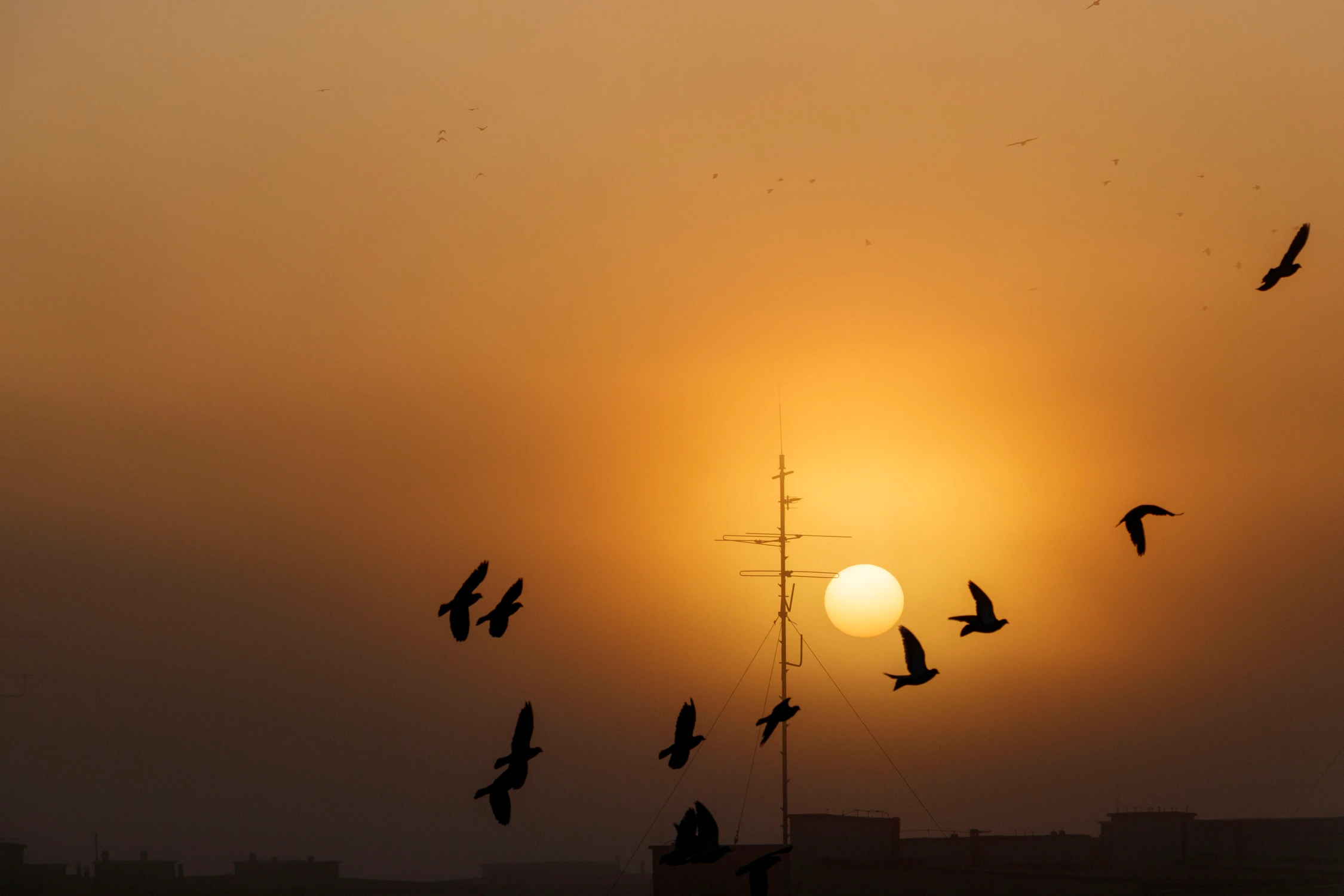 Gdy jesienią słońce wstaje ...
