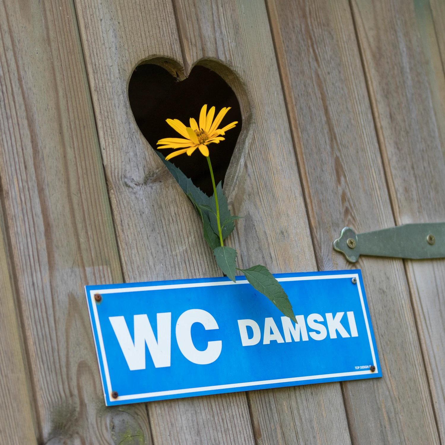 Obcym wstęp wzbroniony