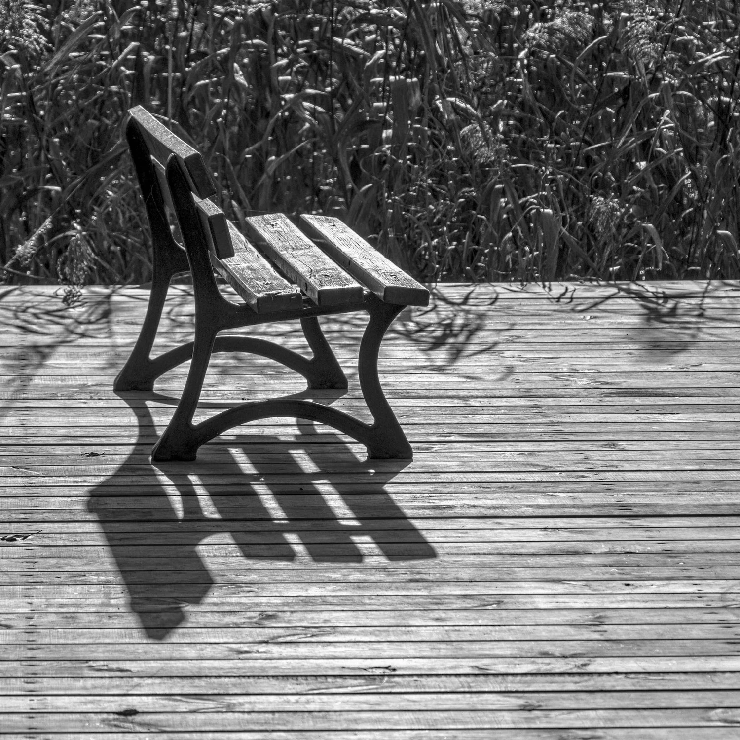 Jesienna ławeczka w B&W