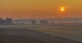 Mglisty wschód nad polami
