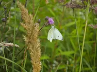 IMG_20260709_091604