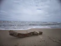 7195