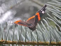 MVIMG_20260828_123429