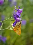 IMG_20260612_132644