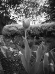 IMG_20260511_191344
