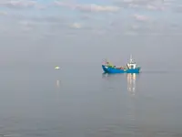 14628137