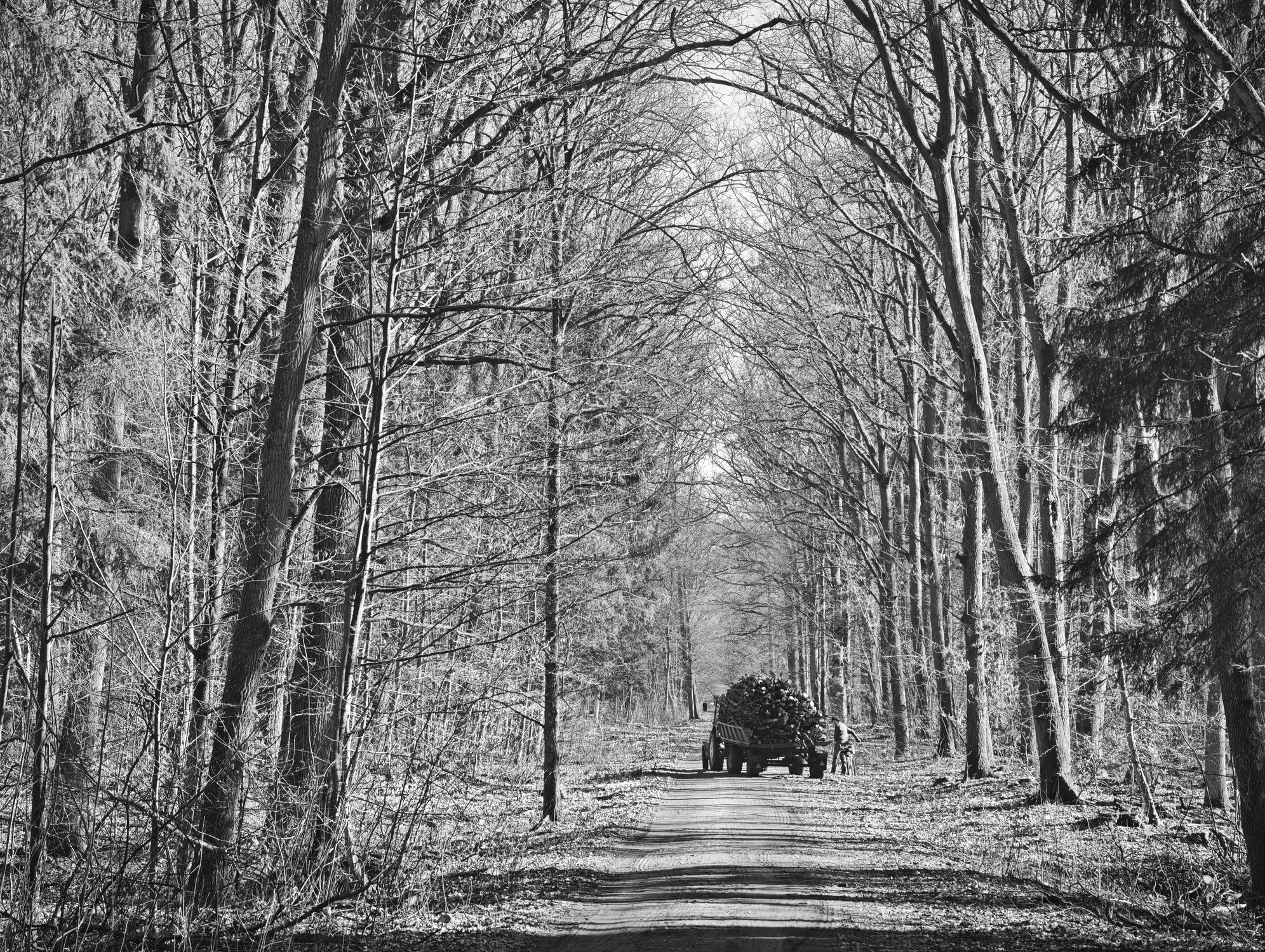 result_IMG_20260306_142037