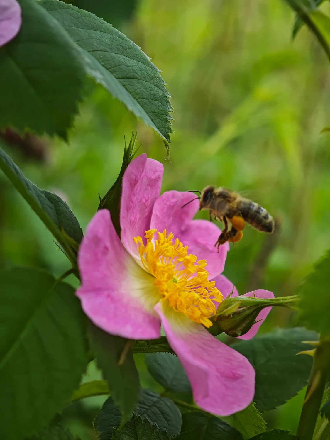 IMG_20260608_095029