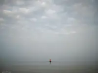 14630914