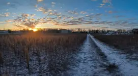 zima