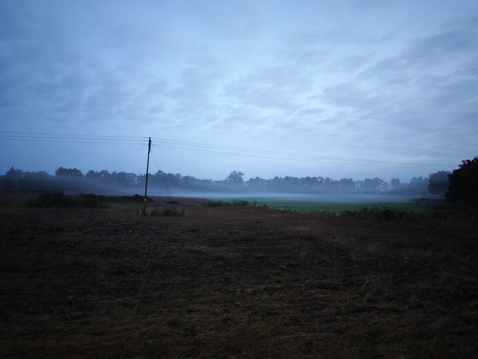 MVIMG_20261004_064234