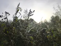 1000002358