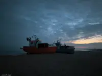 14631564