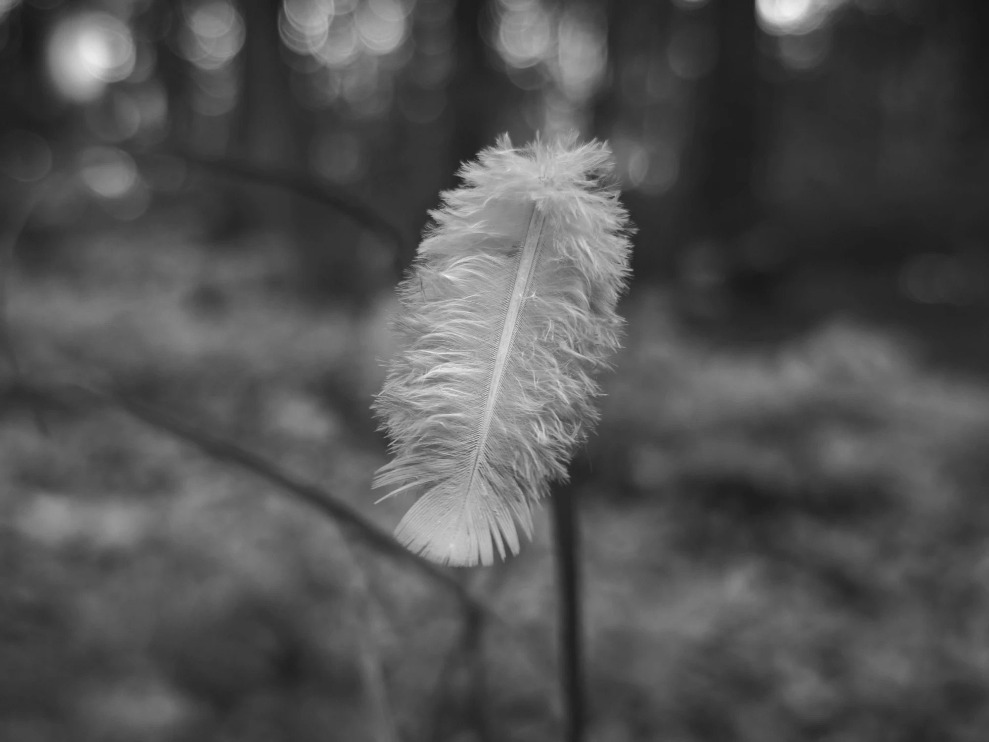 IMG_20260522_073730