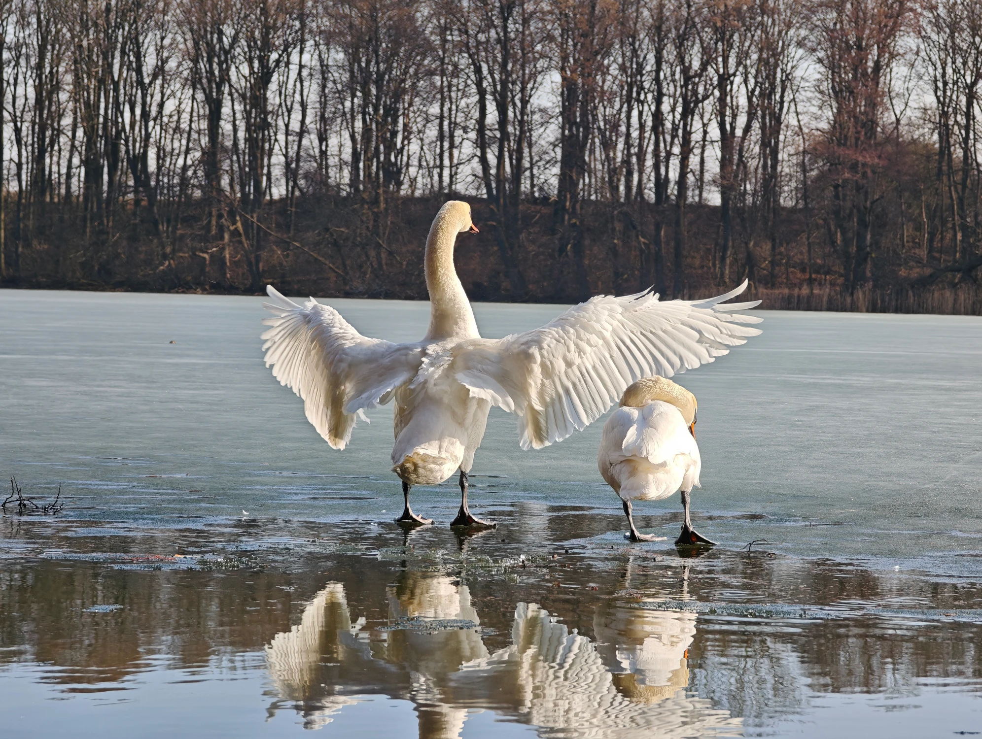 IMG_20260309_141323_1