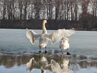 IMG_20260309_141323_1