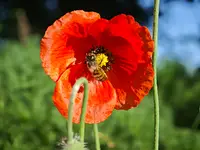 IMG_20260526_073547