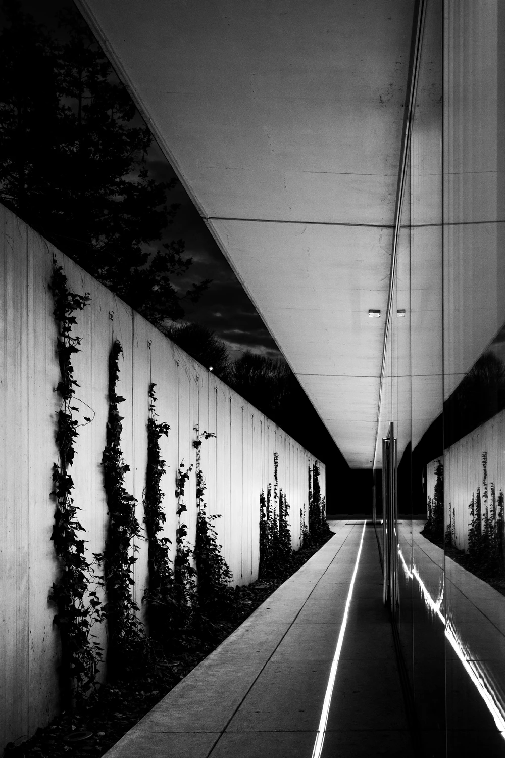 Planetarium lines 11s