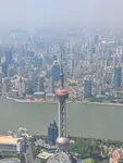 1000013164