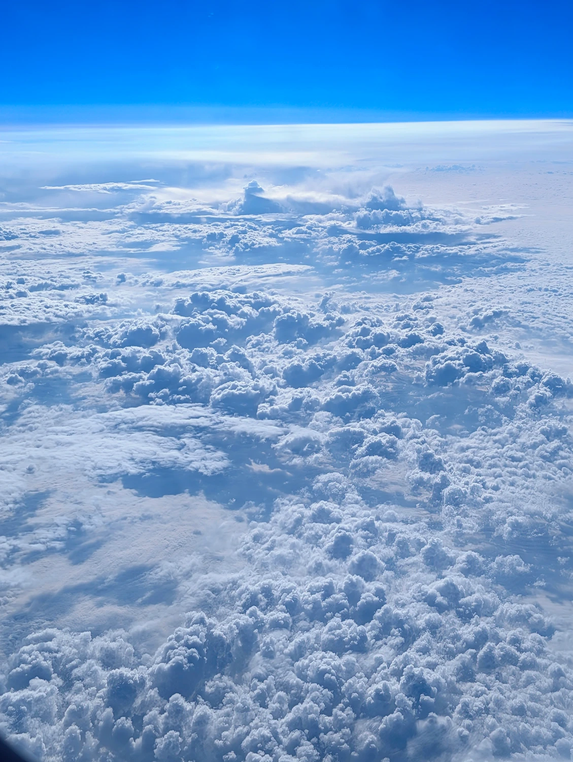 PXL_20240518_052526236~3