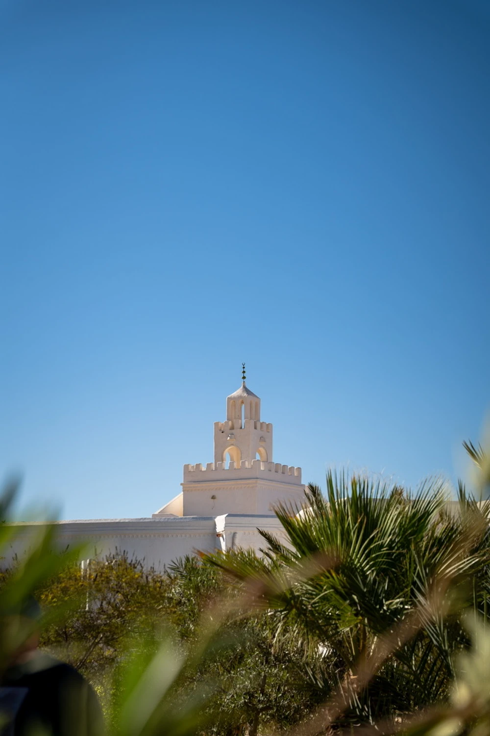 Z perspektywy ogrodu