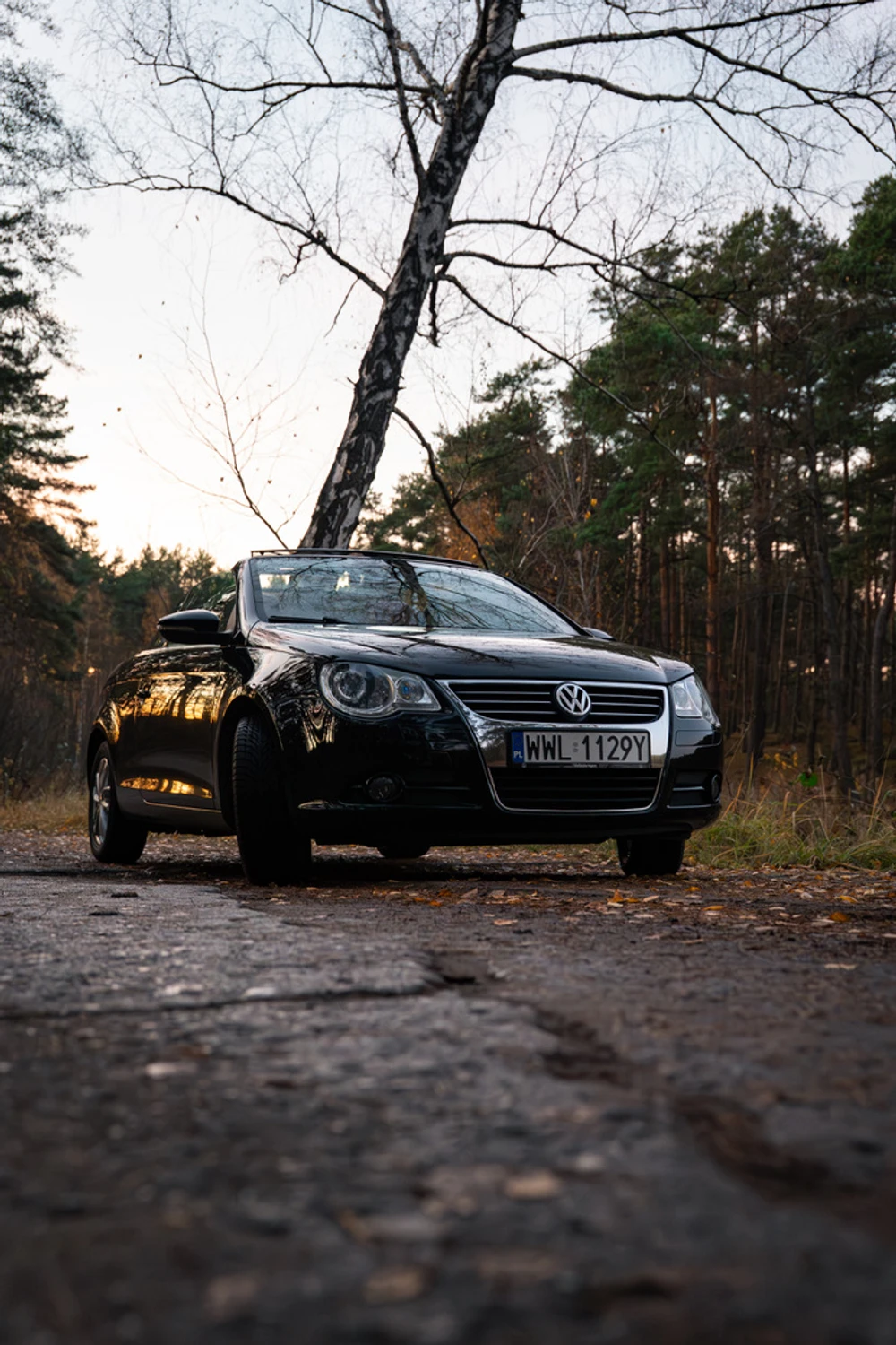 VW Eos
