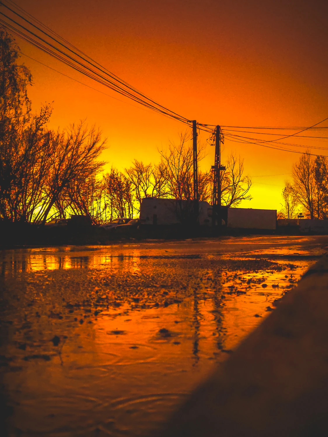 Pomarańczowy Pożar. Detal i Odbicia S25 Ultra