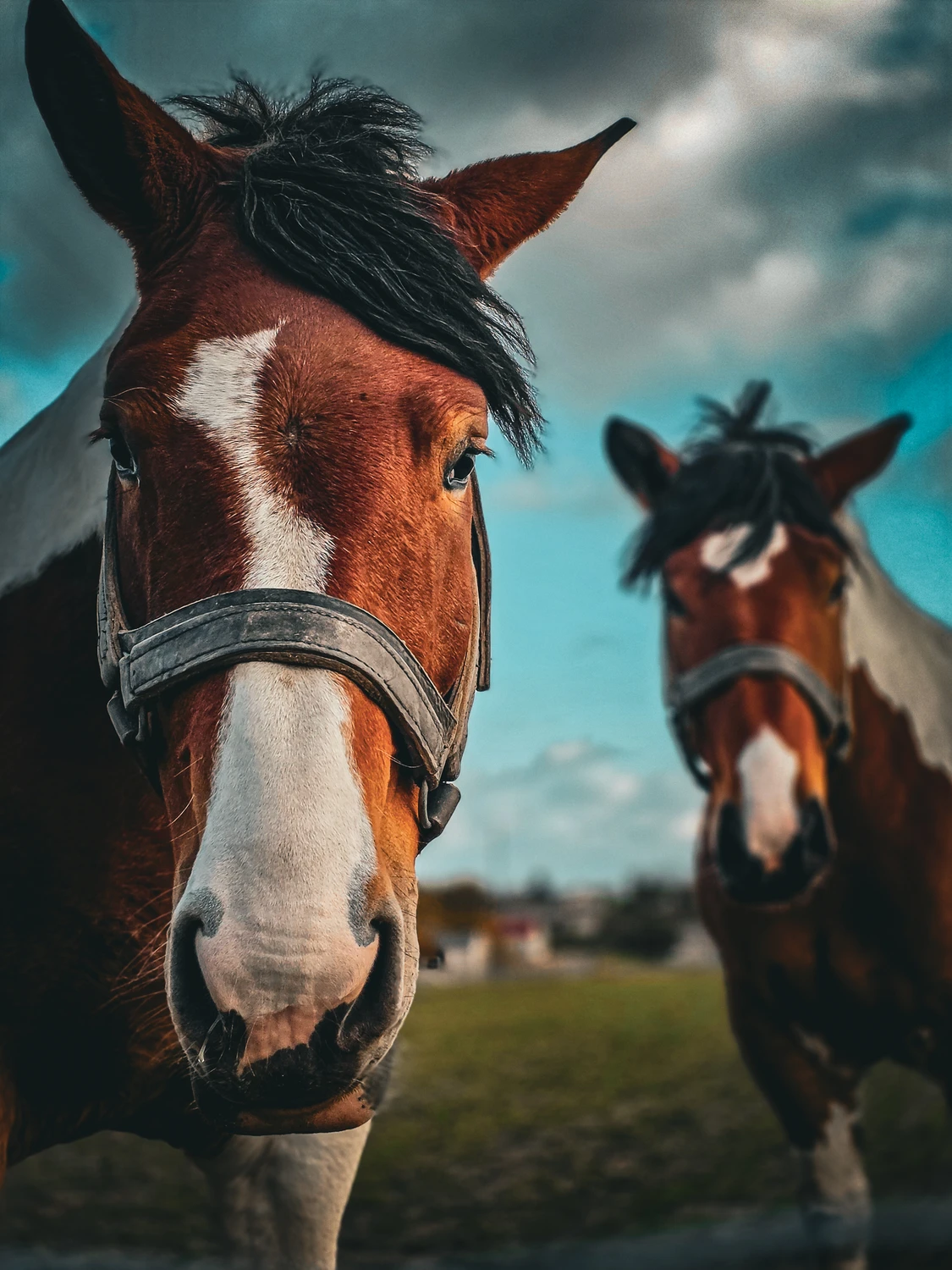 Ciekawski Wzrok. Portret S25 Ultra