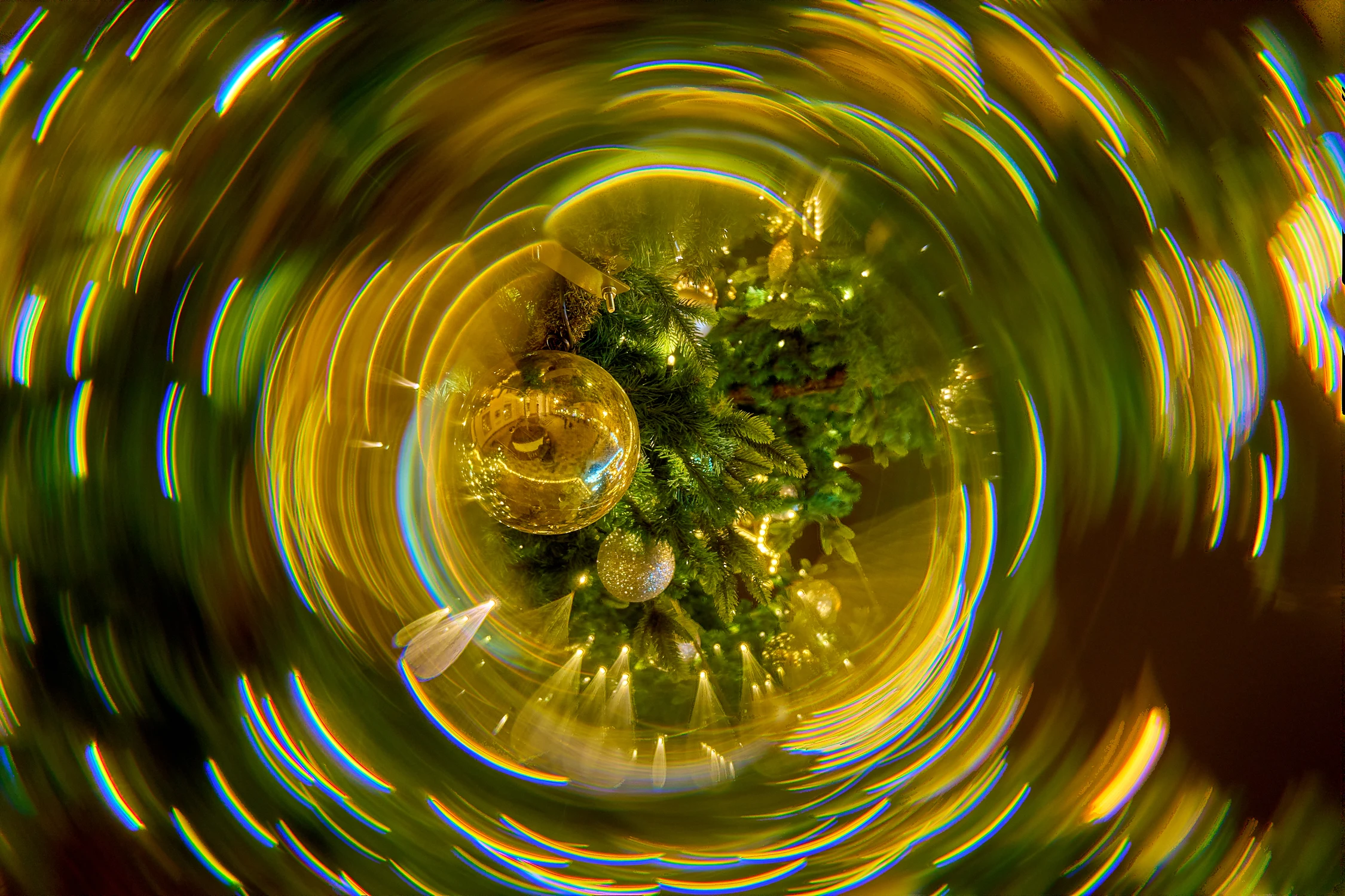 Autoportret w bombce