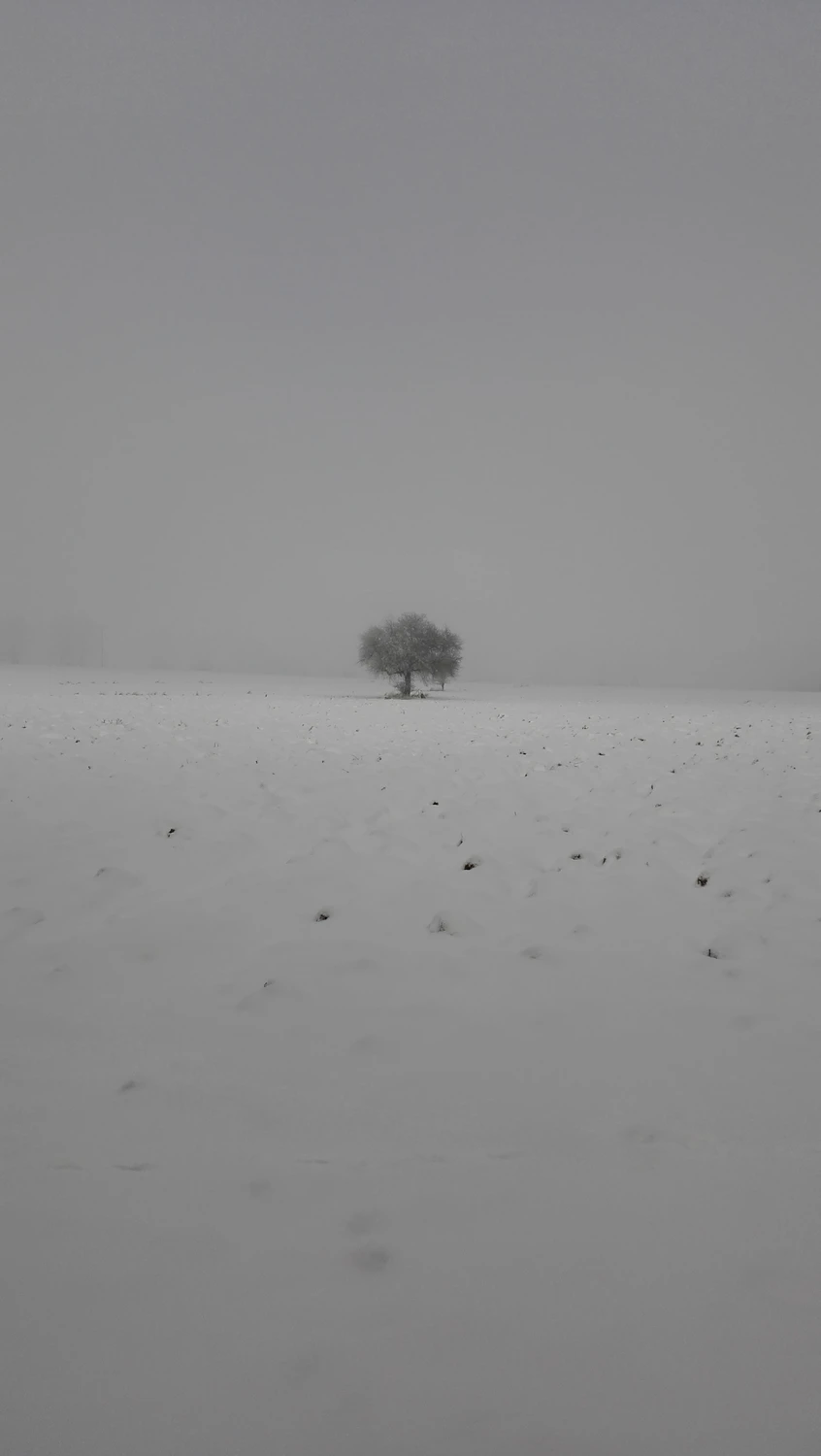 Alone in the snowy fog