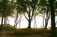 Bynkrów nie ale też jest ...